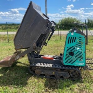 Dumper à chenilles IMER CARRY107